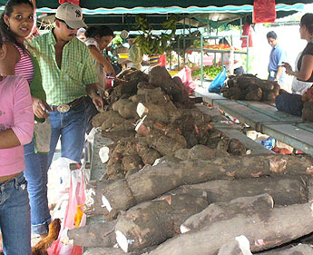 haga click para ampliar la imagen