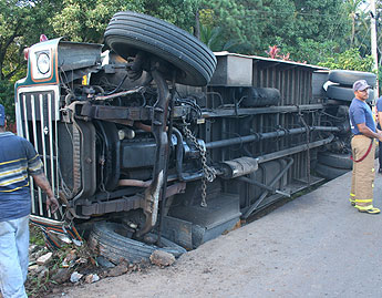 haga click para ampliar la imagen