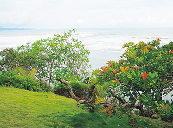 haga click para ampliar la imagen