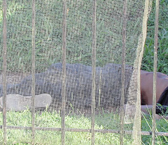 haga click para ampliar la imagen