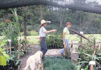 haga click para ampliar la imagen