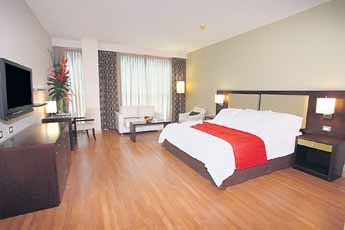 haga click para ampliar la imagen