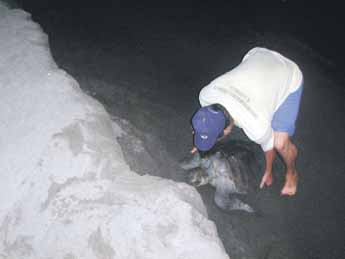 haga click para ampliar la imagen