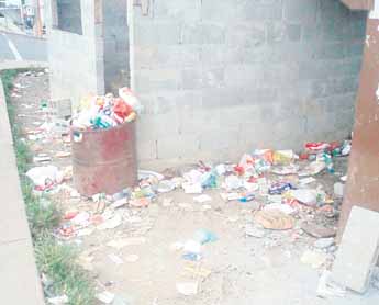 haga click para ampliar la imagen