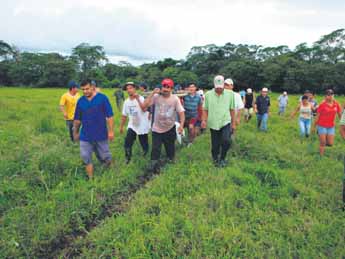 haga click para ampliar la imagen