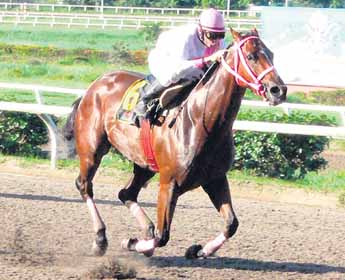 haga click para ampliar la imagen