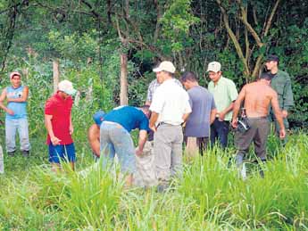 haga click para ampliar la imagen