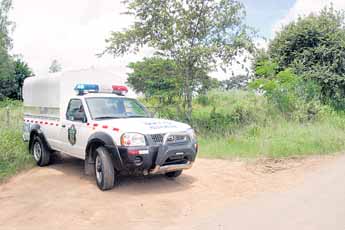 haga click para ampliar la imagen