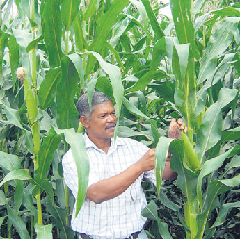 haga click para ampliar la imagen