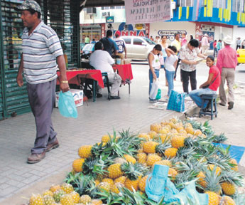 haga click para ampliar la imagen