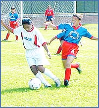 Imagen foto