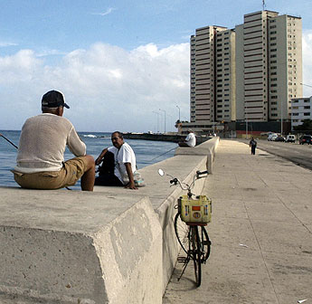 haga click para ampliar la imagen