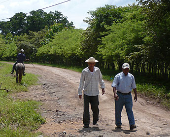 haga click para ampliar la imagen