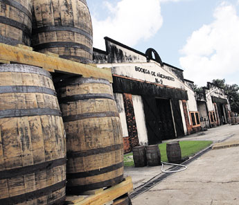 haga click para ampliar la imagen