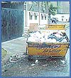 Imagen foto