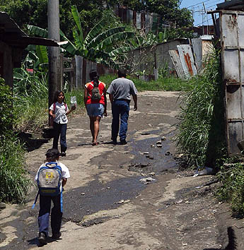 Imagen foto