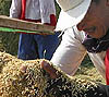 Imagen foto