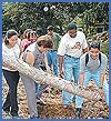 Imagen foto
