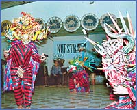 Imagen foto