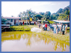 Imagen foto