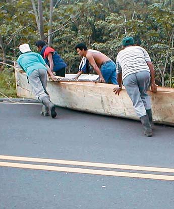 Imagen foto