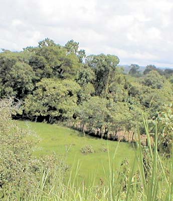 Imagen foto