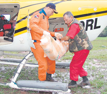 haga click para ampliar la imagen