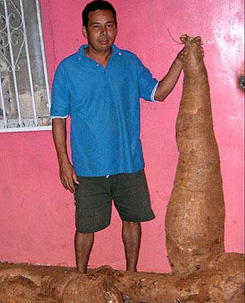 Imagen foto