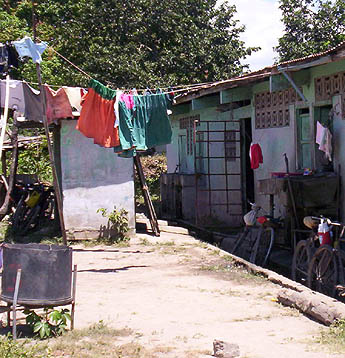 Imagen foto