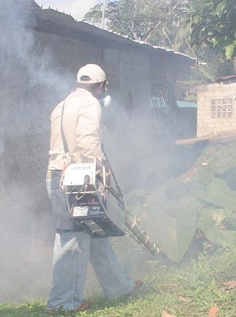 haga click para ampliar la imagen