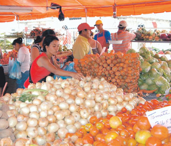 haga click para ampliar la imagen