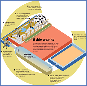 Imagen foto