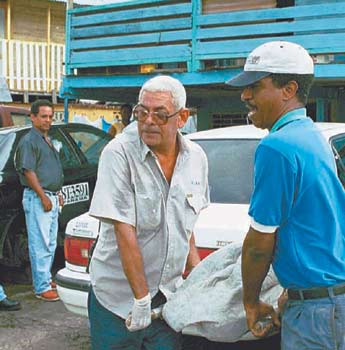 Imagen foto