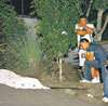 haga click para ampliar la imagen