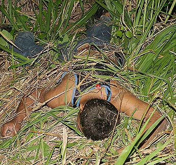Imagen foto