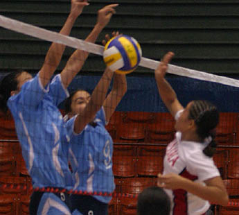 Imagen foto