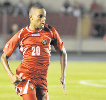 haga click para ampliar la imagen