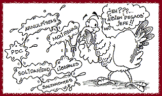Imagen foto