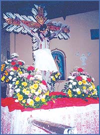 Imagen foto