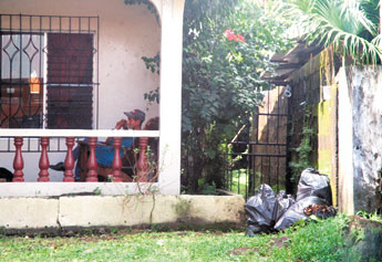 haga click para ampliar la imagen