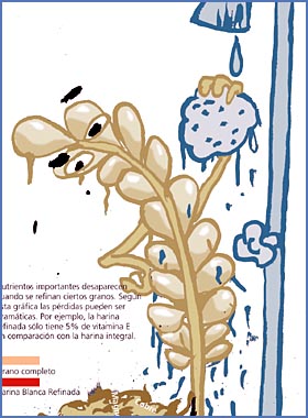 Imagen foto