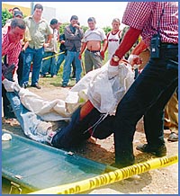 Imagen foto