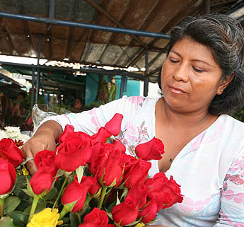 Imagen foto