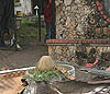 Imagen foto