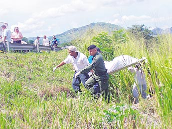 haga click para ampliar la imagen