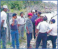 Imagen foto