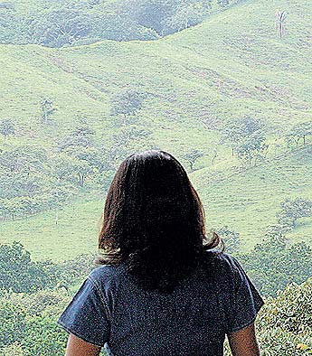 Imagen foto