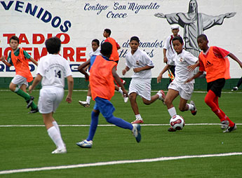 haga click para ampliar la imagen