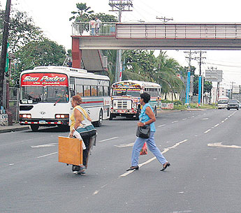 haga click para ampliar la imagen