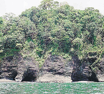 haga click para ampliar la imagen